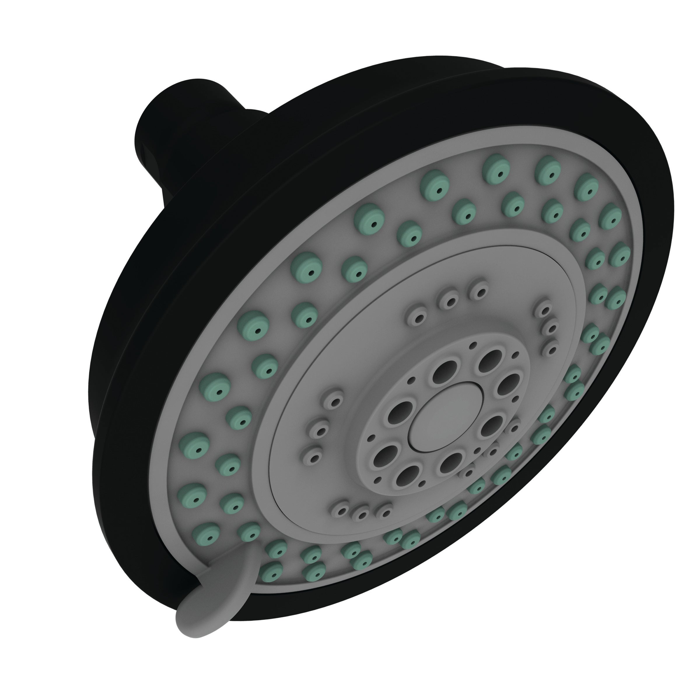 Newport Brass Tub & Shower Multifunction Showerhead