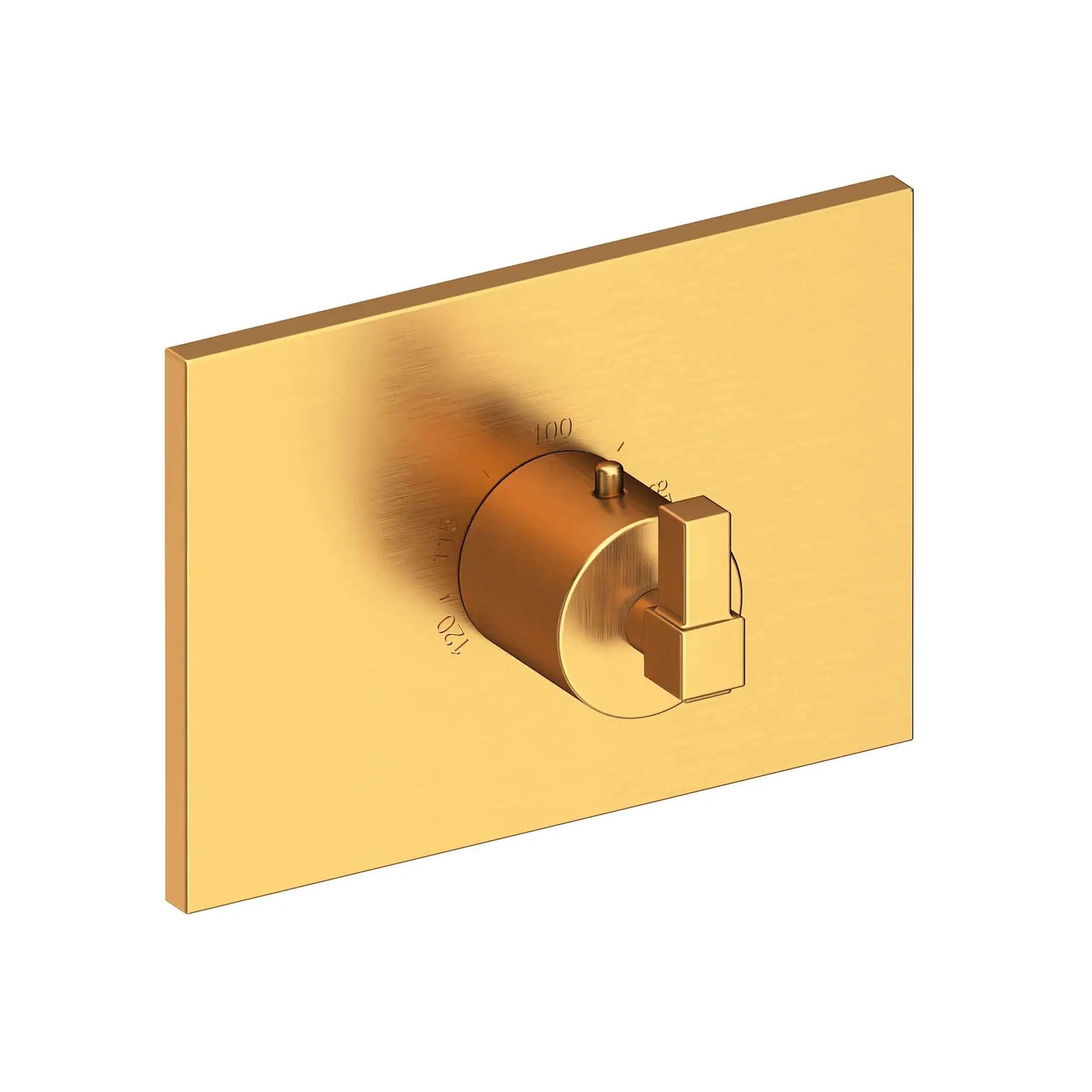 Newport Brass Malvina 3/4" Square Thermostatic Trim Plate with Handle by Newport Brass