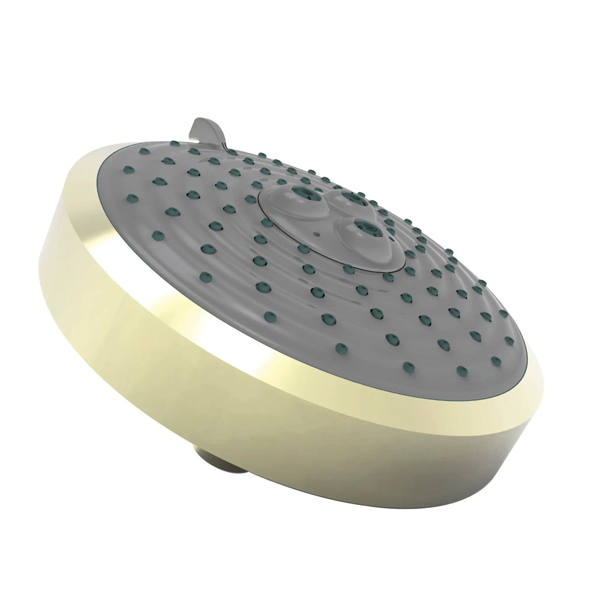 Newport Brass Tub & Shower Multifunction Showerhead by Newport Brass