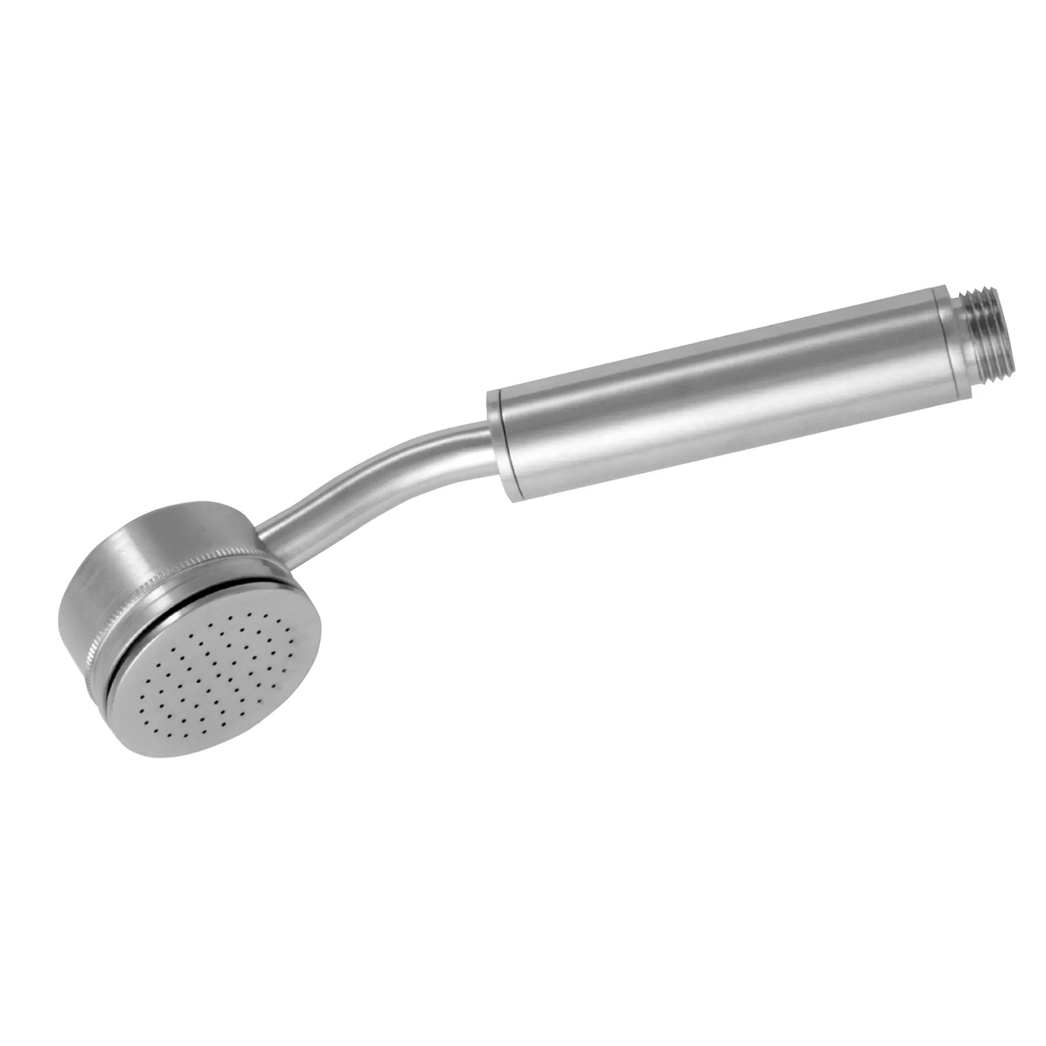 polished chrome hand shower