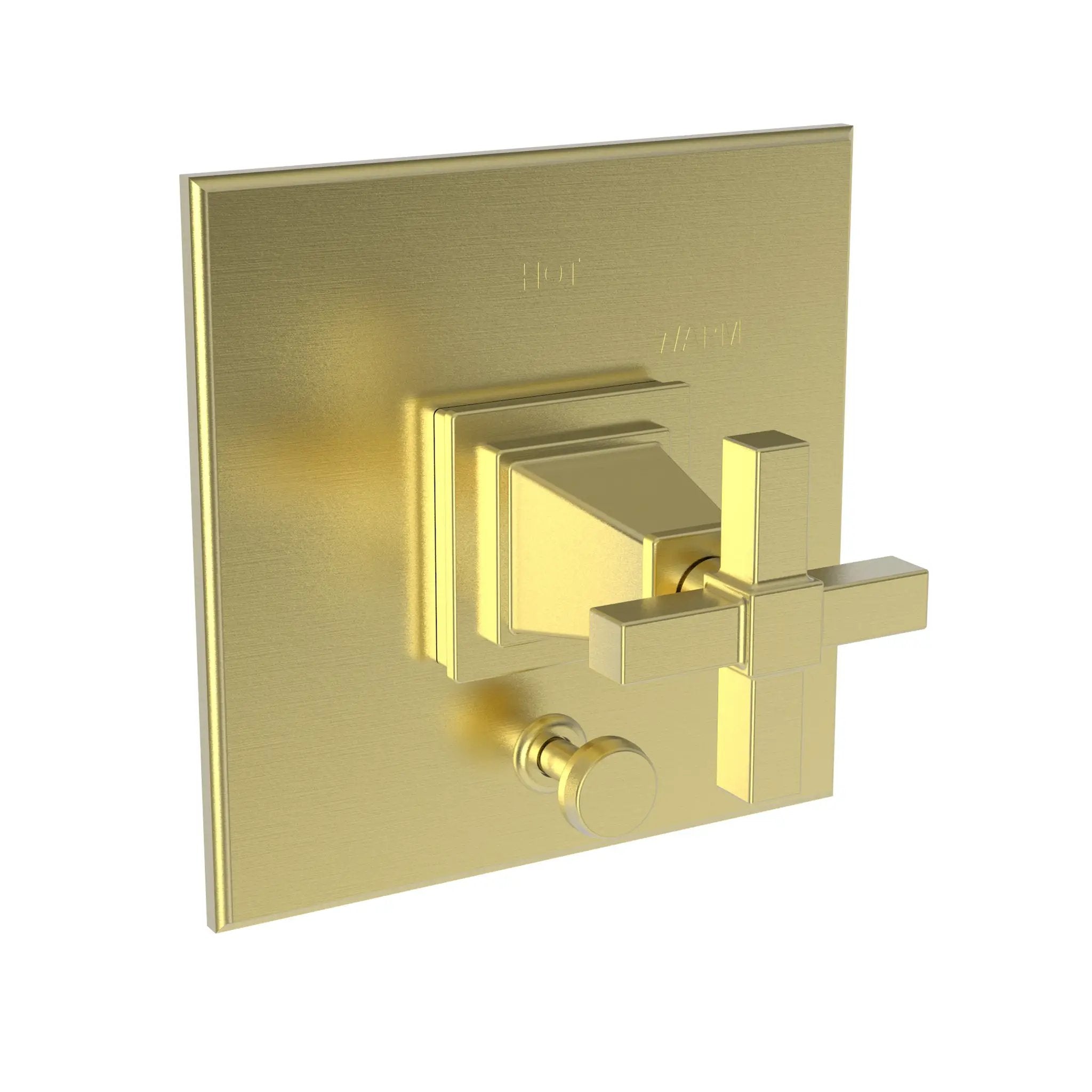 Newport Brass Malvina Balanced Pressure Tub & Shower Diverter Plate with Handle by Newport Brass