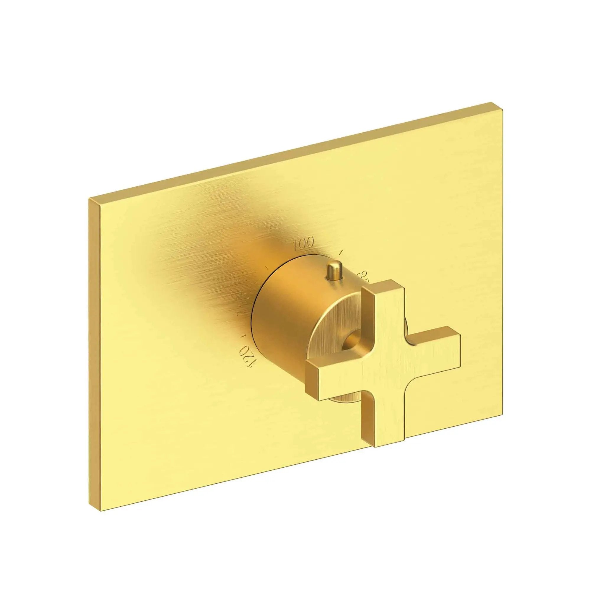 Newport Brass Secant 3/4" Rectangular Thermostatic Trim Plate with Handle by Newport Brass