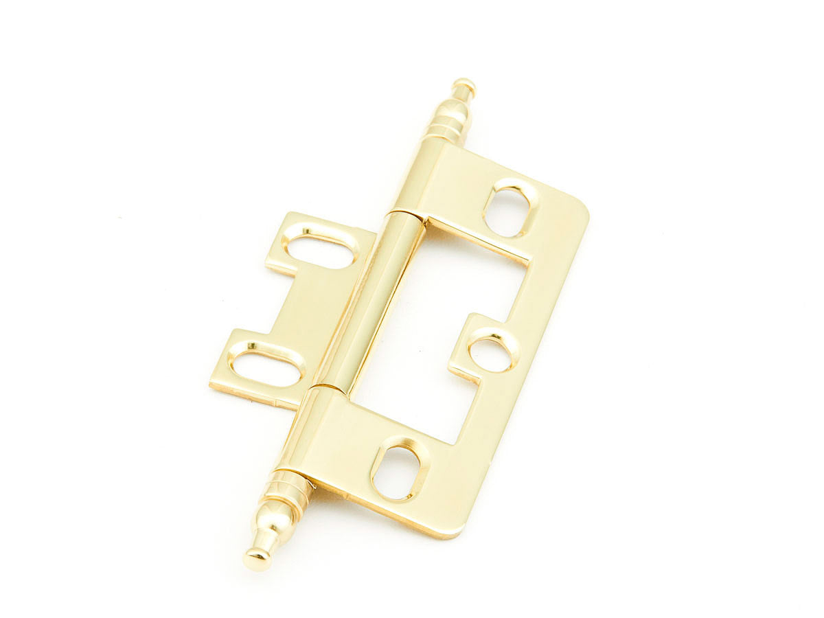 polished brass hinge