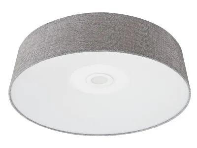 grey flushmount sconce