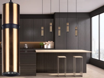 black cicada pendant