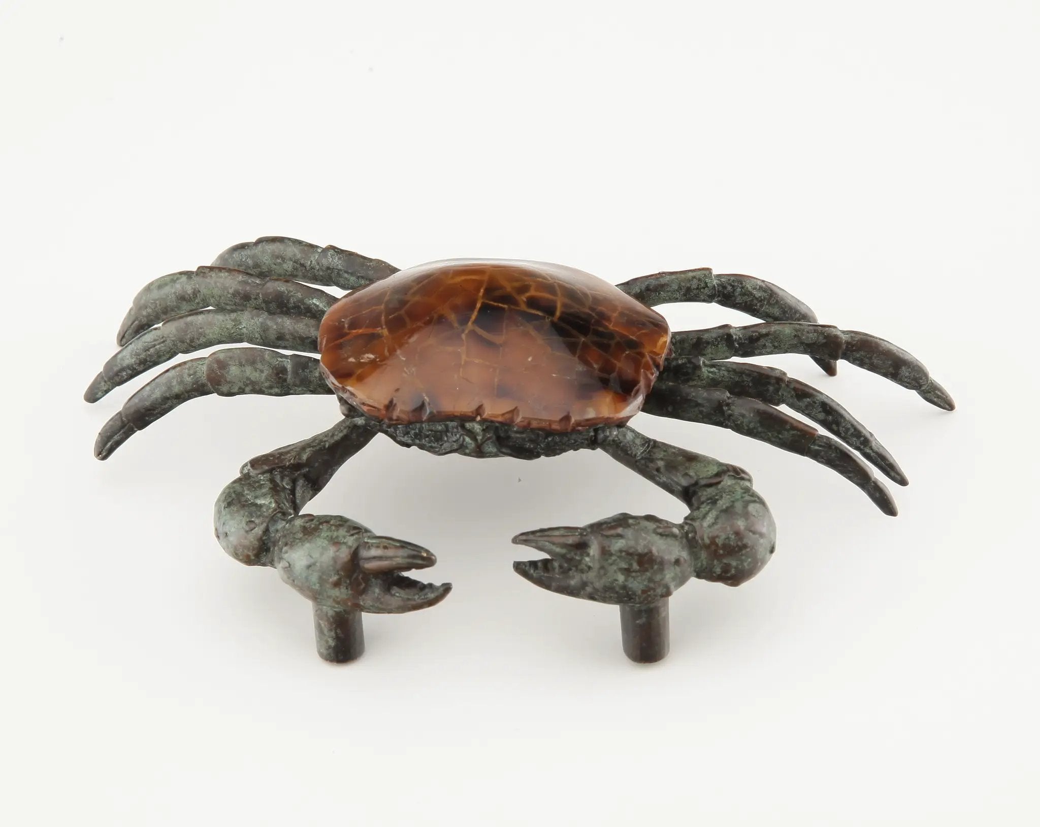 tiger penshell cabinet pull