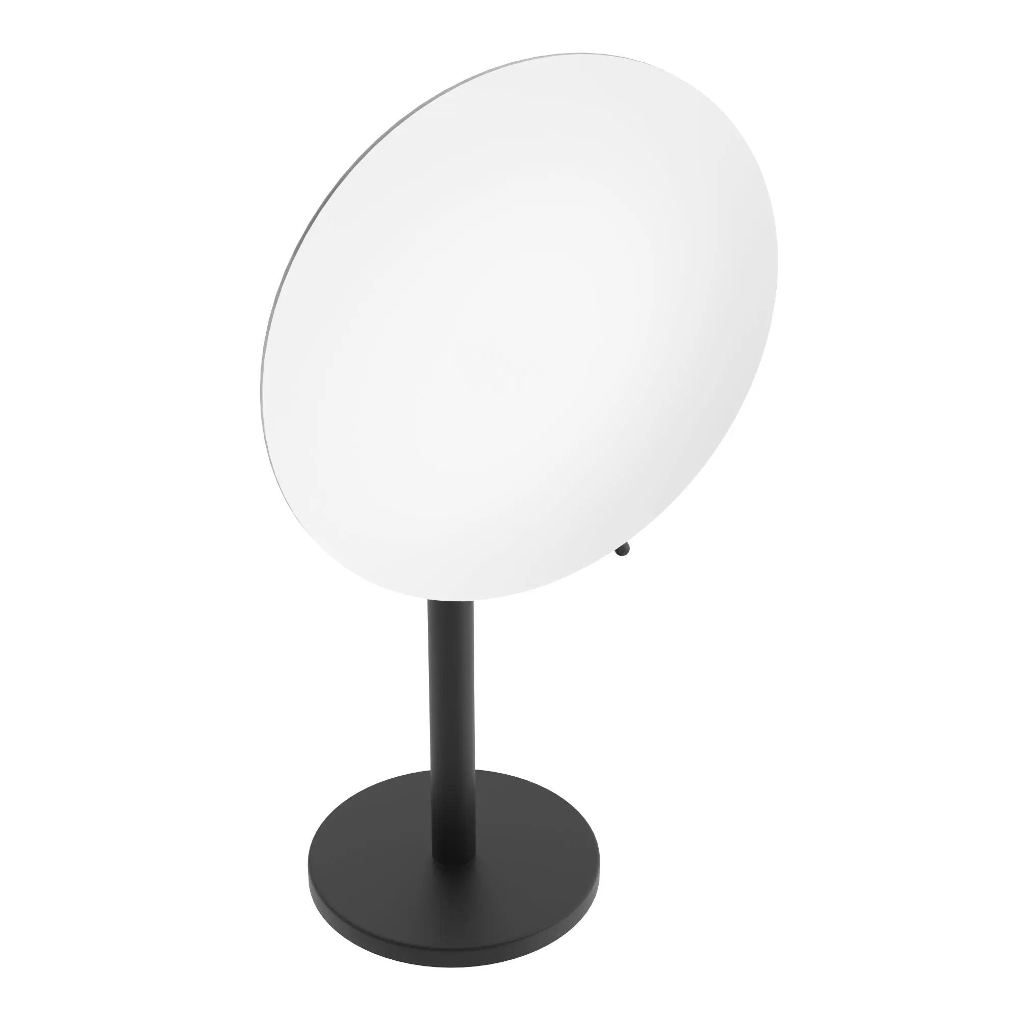 Matte black freestanding Mirror