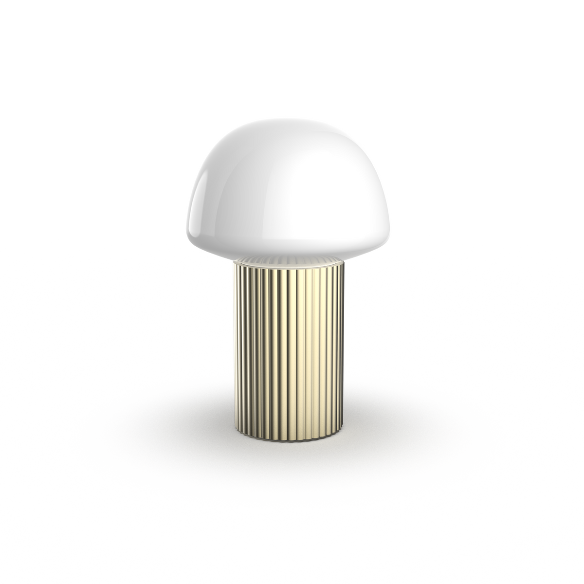 champagne rechargeable light
