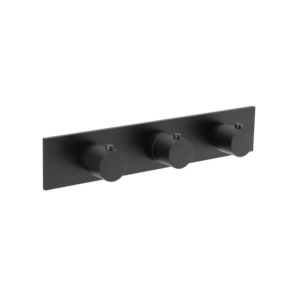 Flusso Serie 100 3/4" Horizontal Thermostatic Valve with 2 Volume Controls and Trim by Flusso