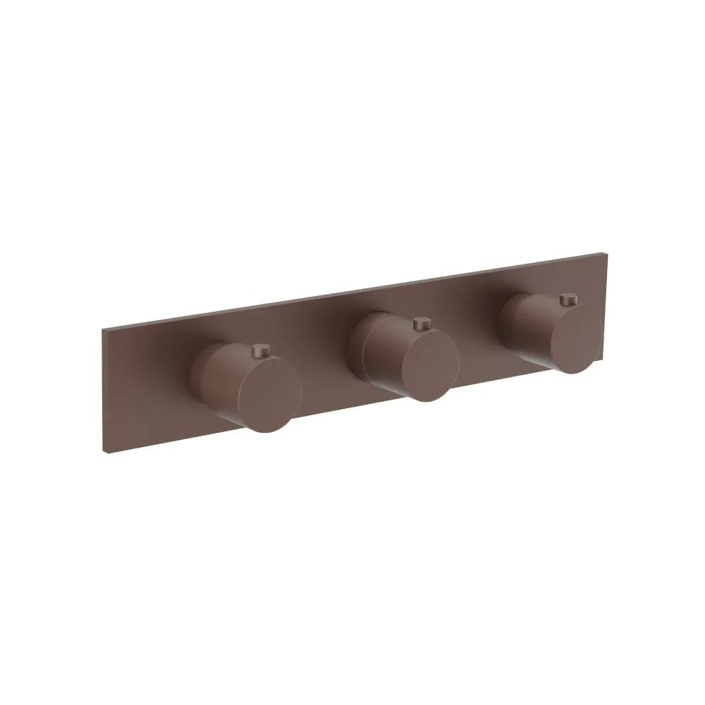 Flusso Serie 100 3/4" Horizontal Thermostatic Valve with 2 Volume Controls and Trim by Flusso