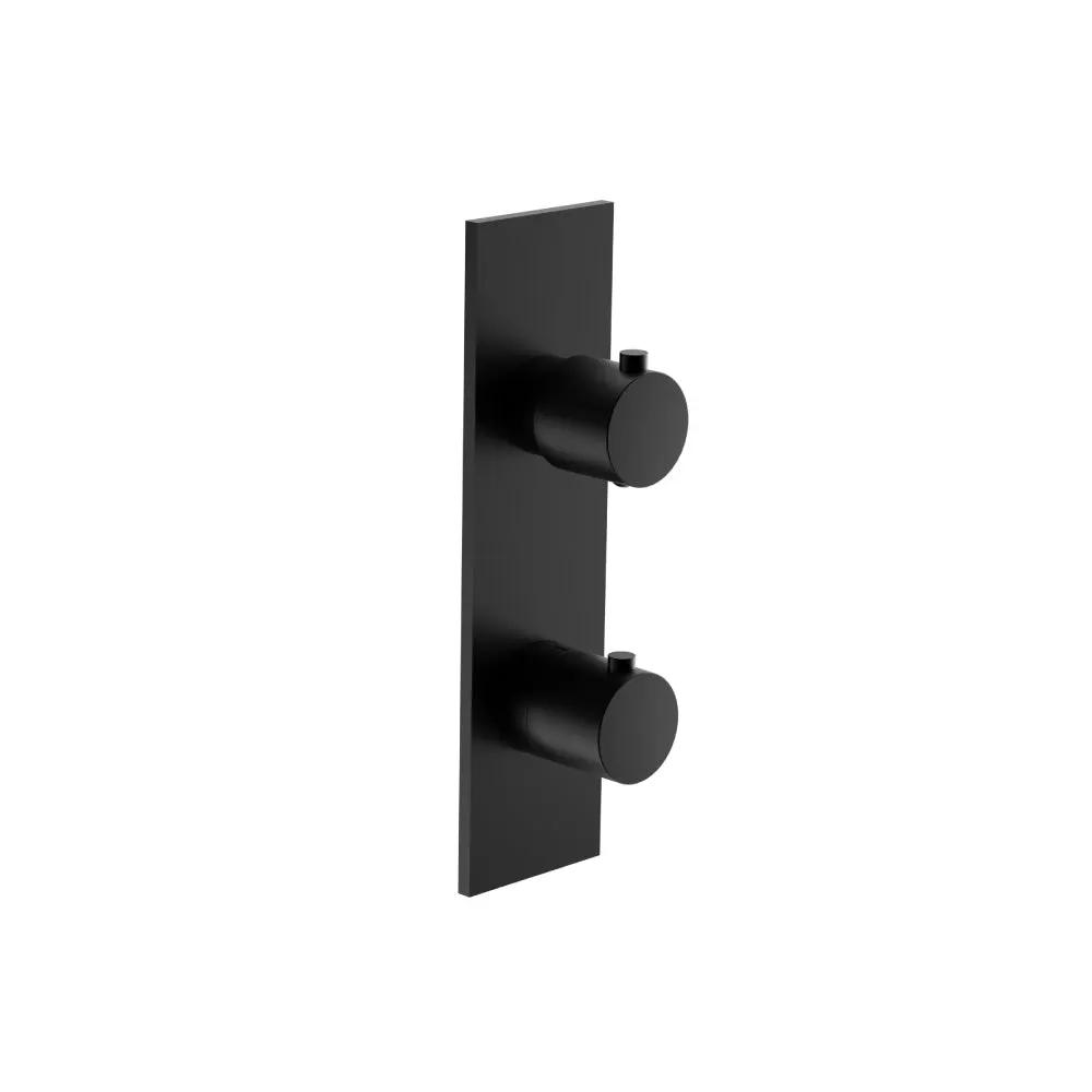 Flusso Serie 100 Trim for Thermostatic Valve by Flusso