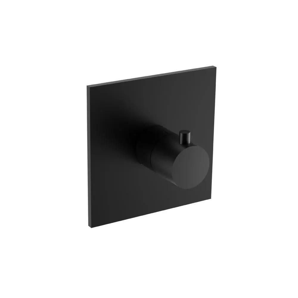 Flusso Serie 100 3/4" Thermostatic Valve with Trim by Flusso
