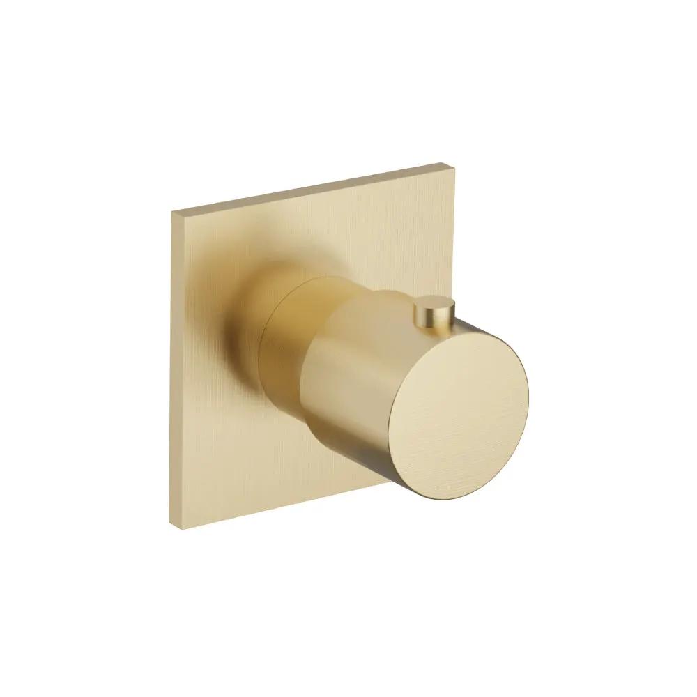 Flusso Serie 100 3/4" Volume Control and Trim by Flusso