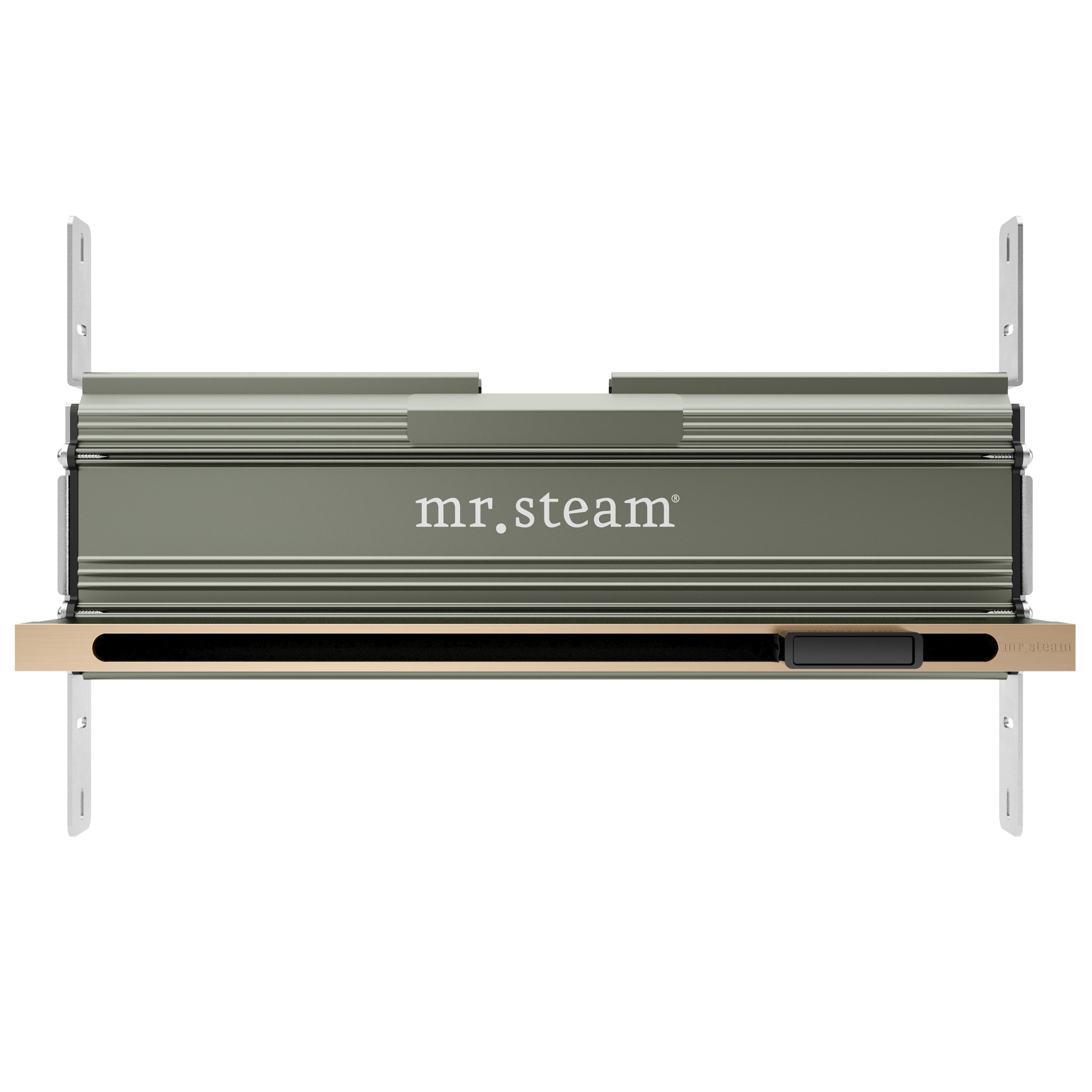 Mr Steam Linear 16 in. W. Steamhead with AromaTherapy Reservoir
