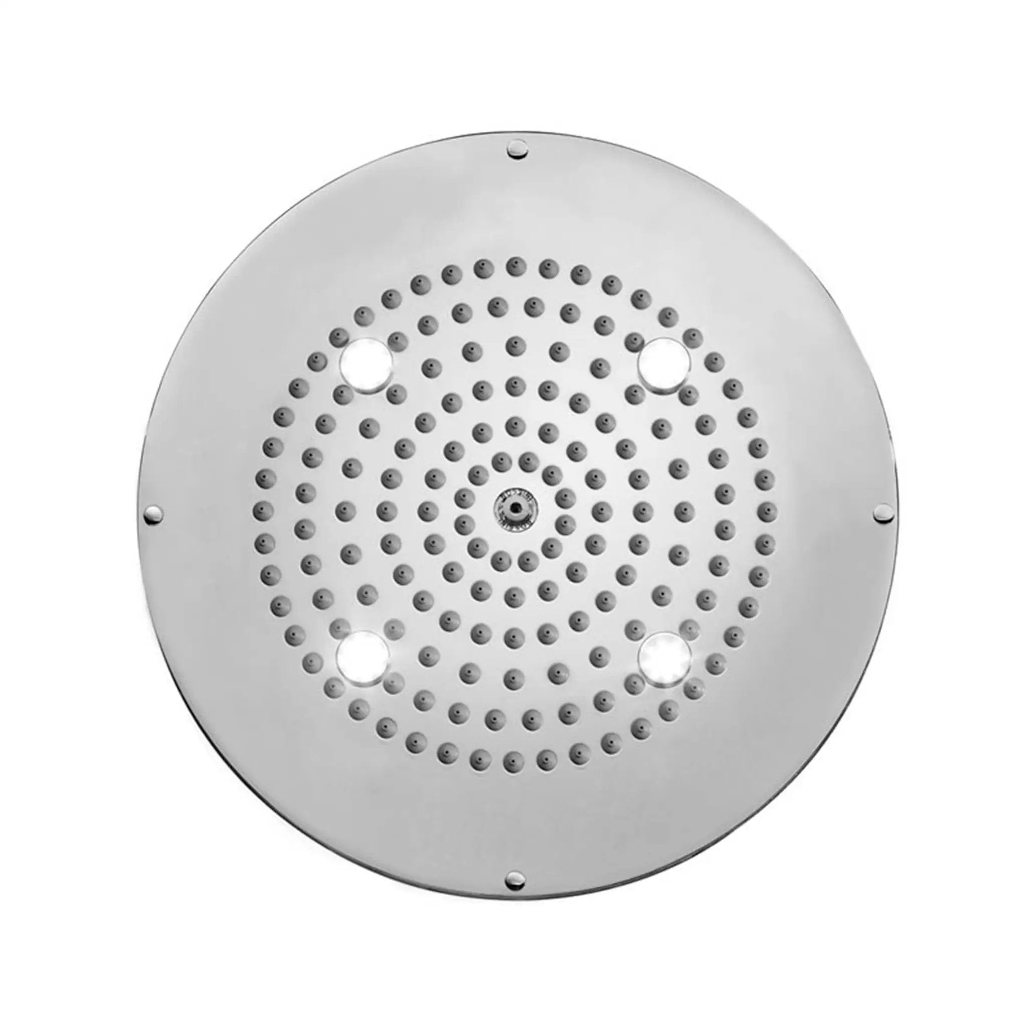 polished chrome shower head