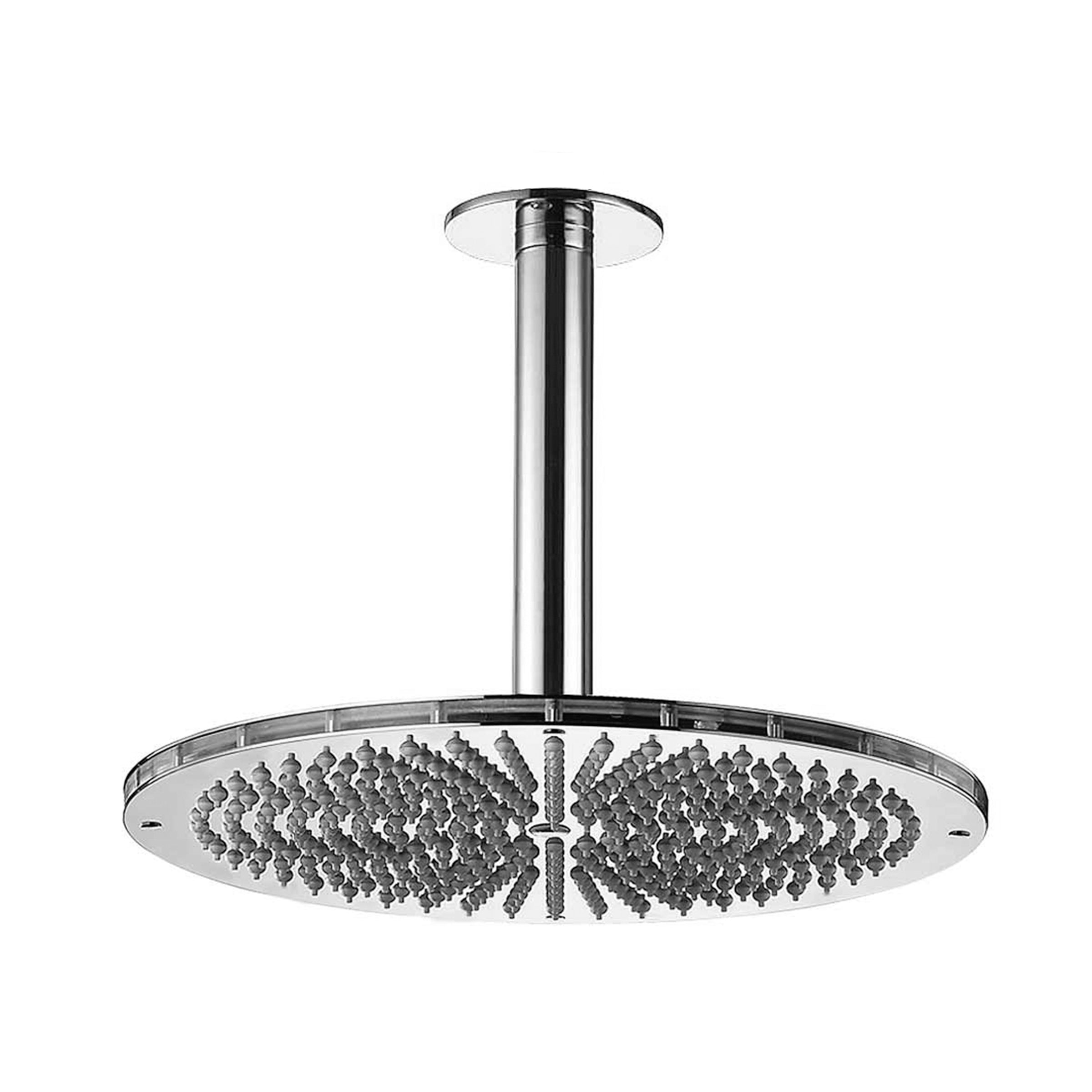polished chrome shower head