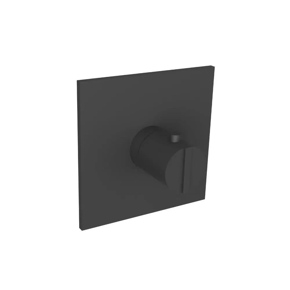 Flusso Serie 145 Trim for 3/4" Thermostatic Valve - Use with TVH.4201 by Flusso