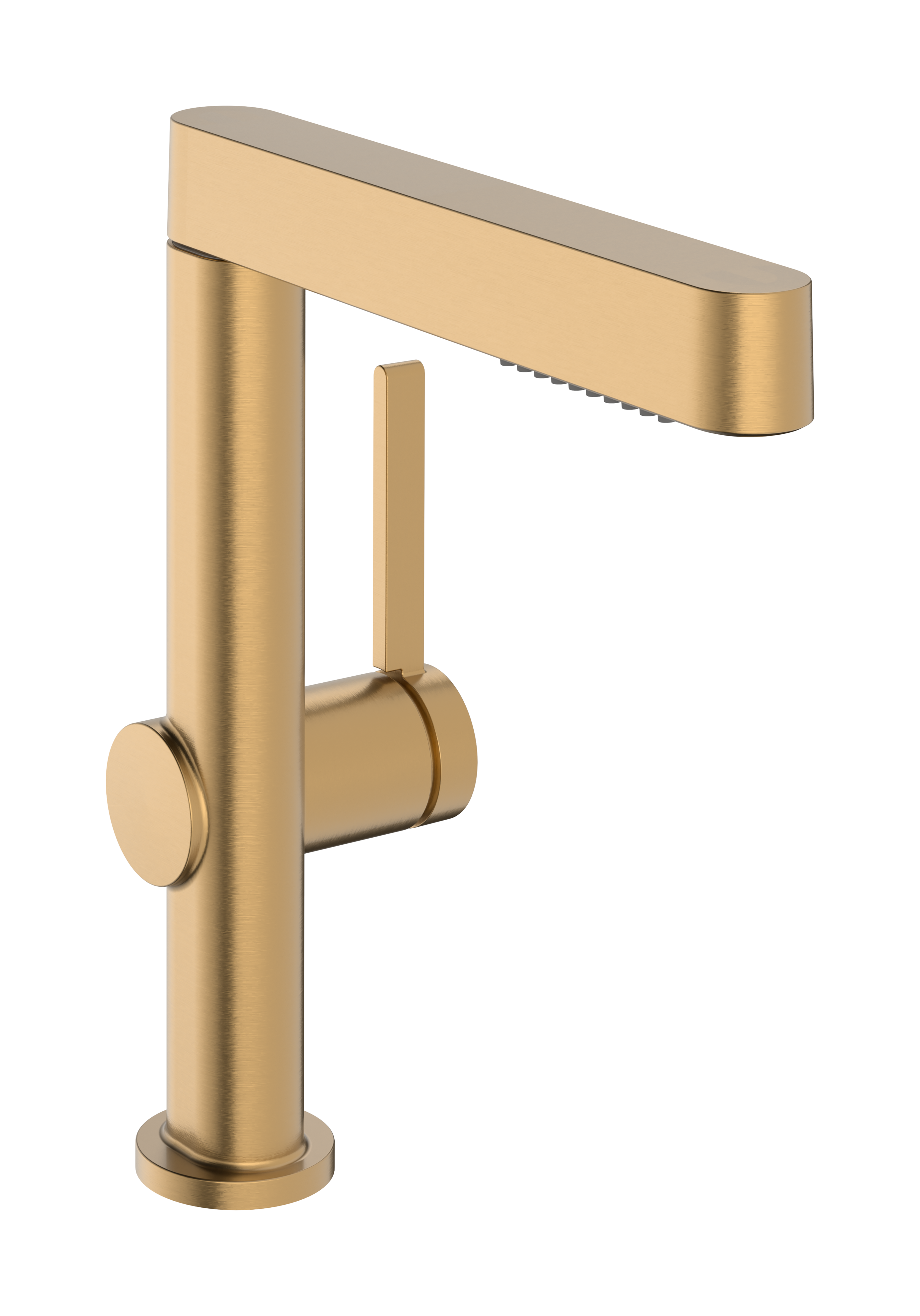 Hansgrohe Finoris Single-Hole Faucet with 2-Spray Pull-Out, 1.2 GPM by Hansgrohe