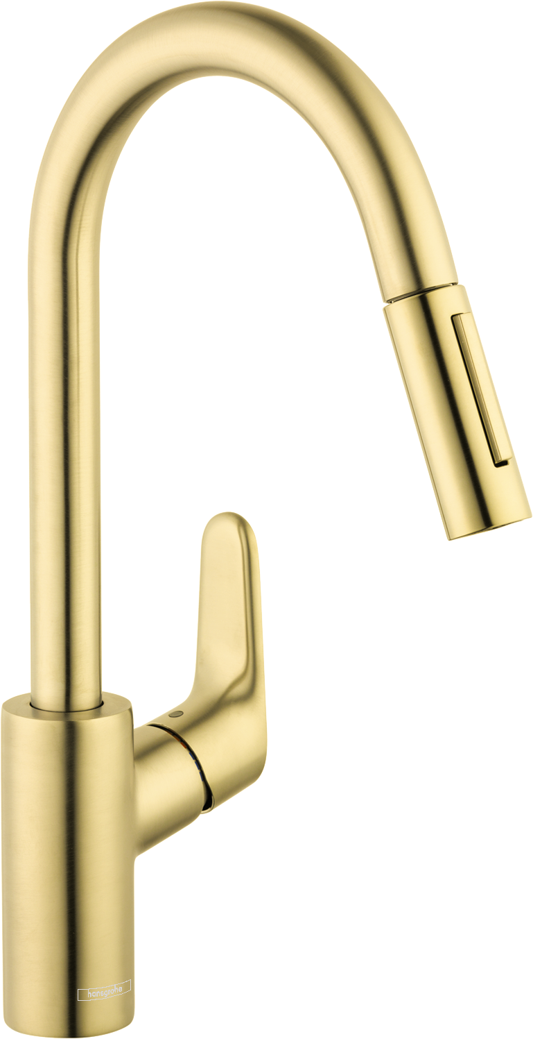 Hansgrohe Focus HighArc 2-Spray Pull-Down Kitchen Faucet, 1.75 GPM by Hansgrohe