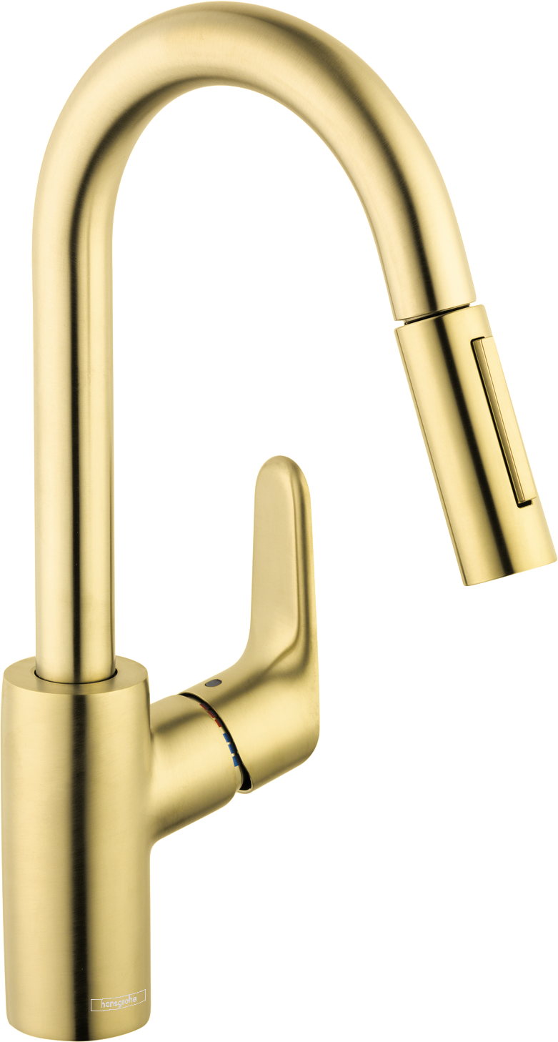 Hansgrohe Focus 2-Spray Pull-Down Prep Kitchen Faucet, 1.75 GPM by Hansgrohe