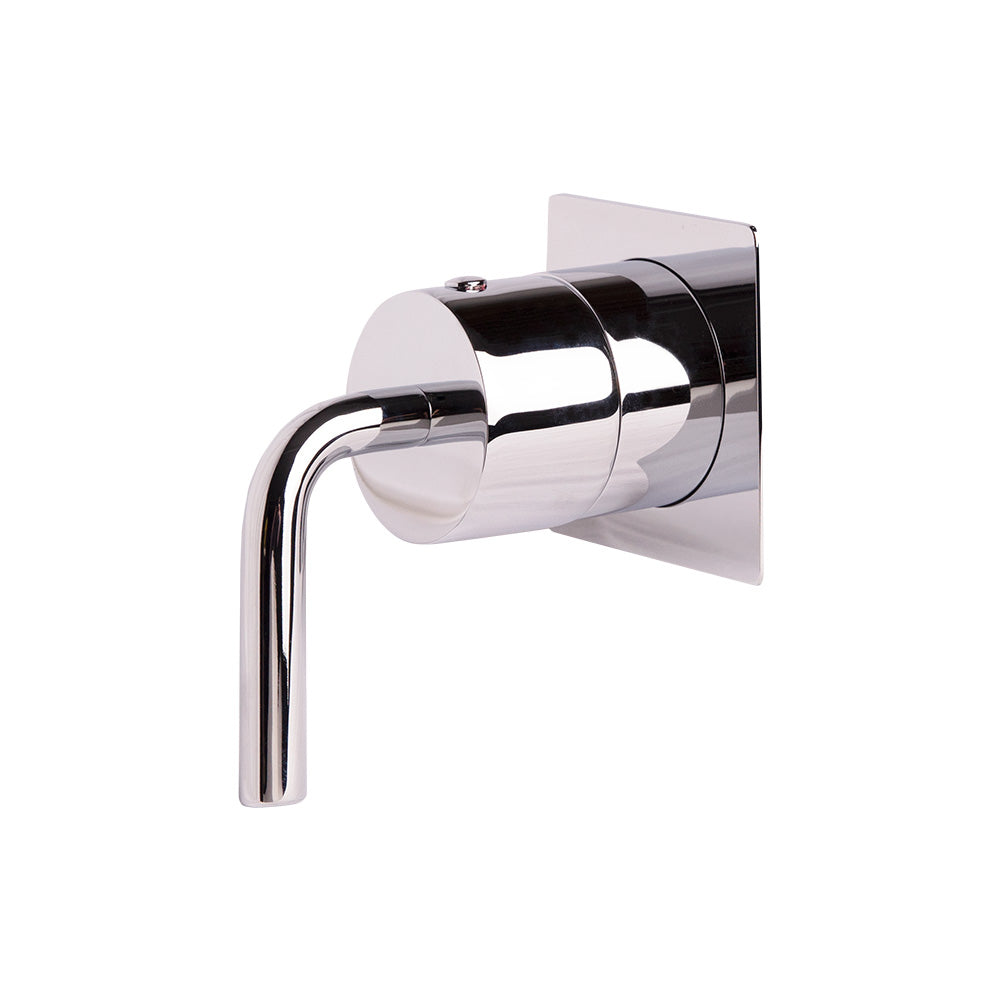 polished chrome shower trim