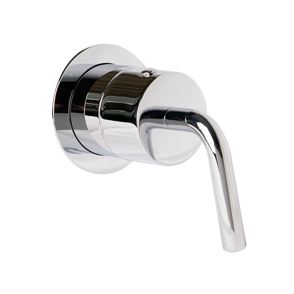 polished chrome shower trim