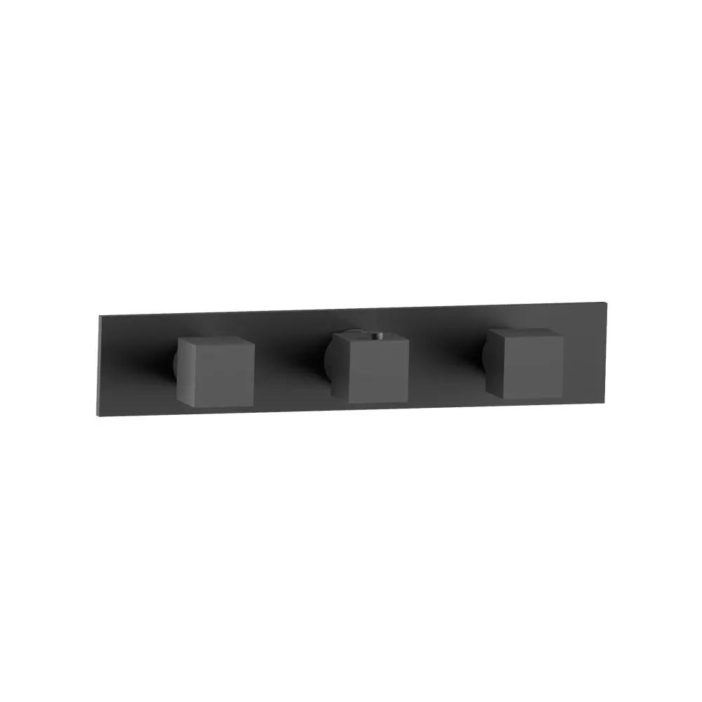 Flusso Serie 160 Trim for Horizontal Thermostatic Valve with 2 Volume Controls