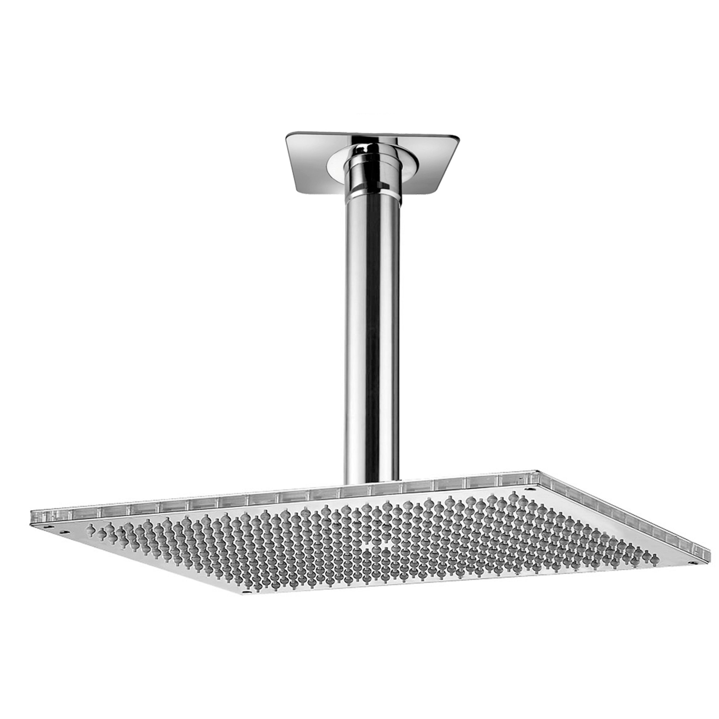 polished chrome shower head