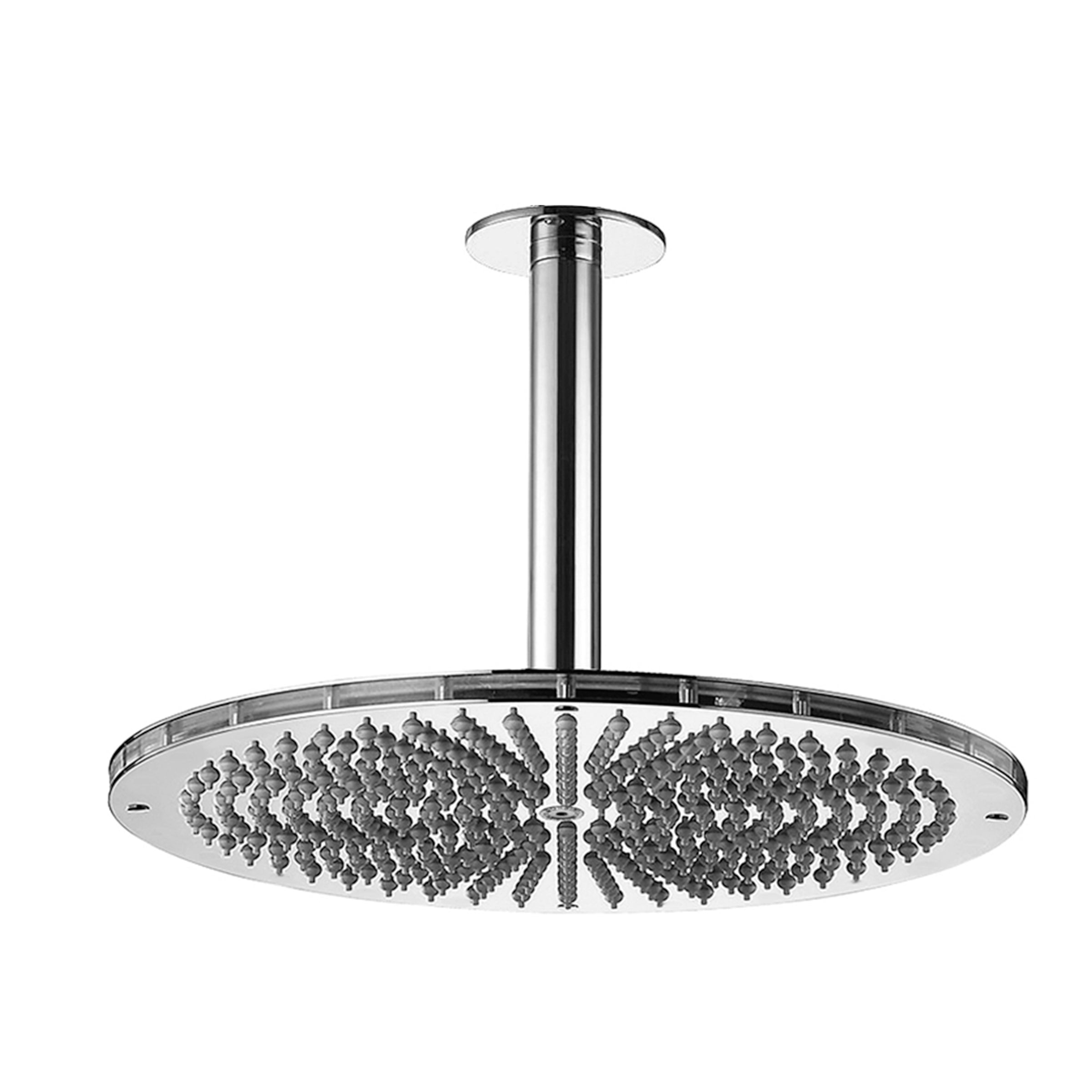 polished chrome shower head