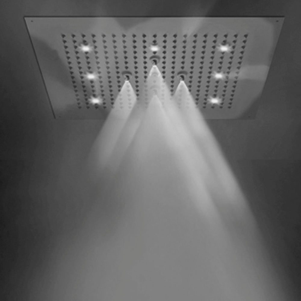 polished chrome shower head