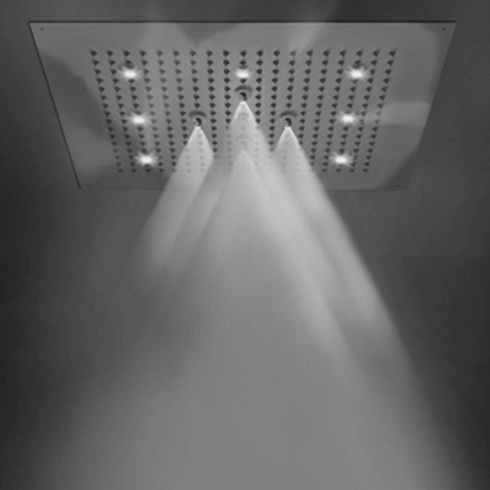 polished chrome shower head