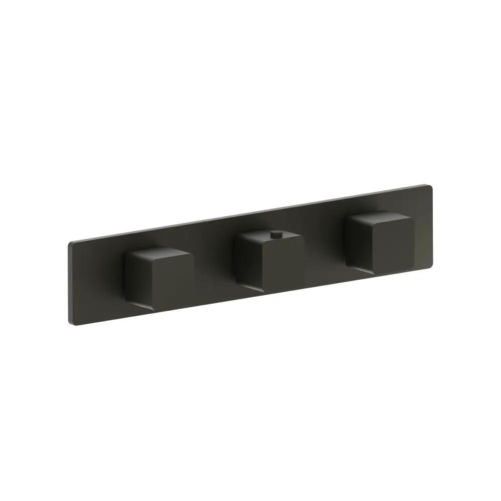 Flusso Serie 196 Trim for Horizontal Thermostatic Valve with 2 Volume Controls by Flusso
