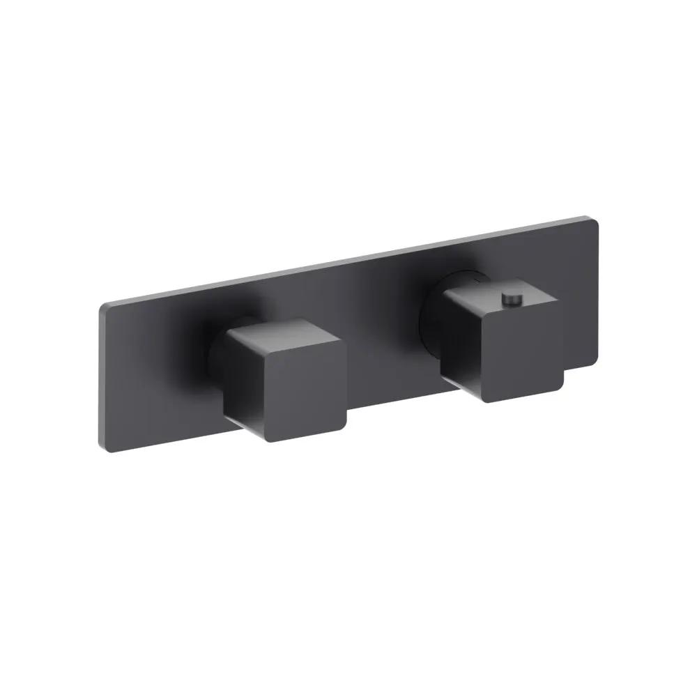 Flusso Serie 196 3/4" Horizontal Thermostatic Shower Valve and Trim - 2 Output by Flusso
