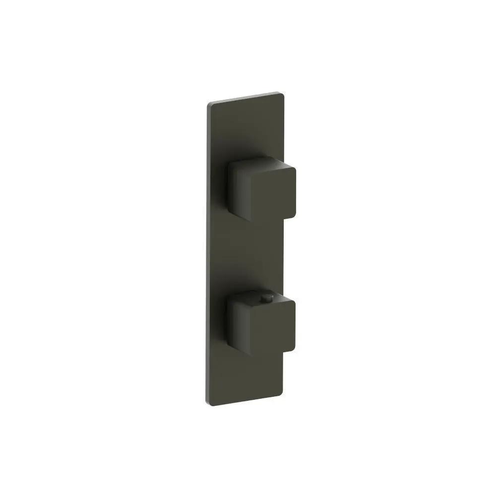 Flusso Serie 196 3/4" Horizontal Thermostatic Shower Valve and Trim - 1- Output by Flusso