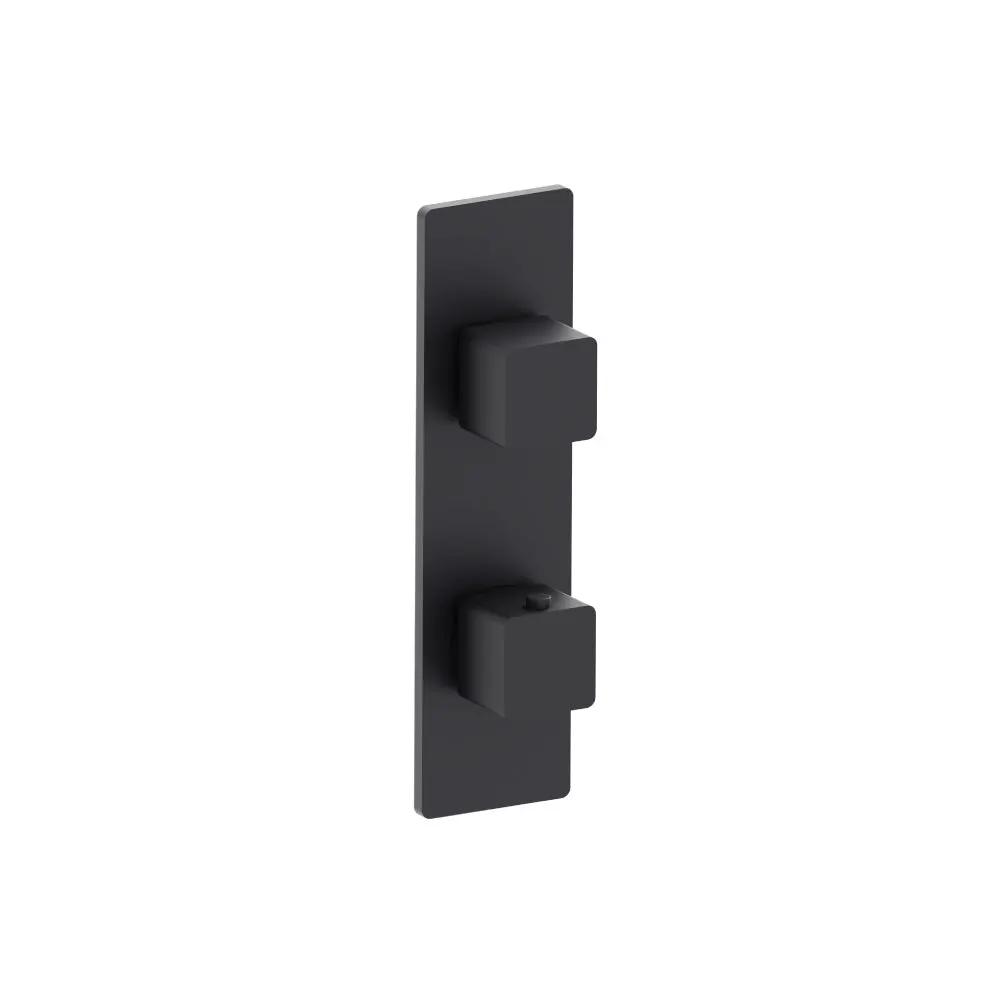 Flusso Serie 196 3/4" Thermostatic Shower Valve and Trim - 2-Output by Flusso