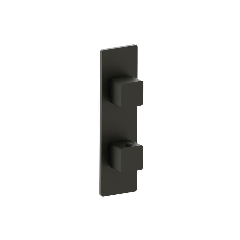 Flusso Serie 196 3/4" Thermostatic Shower Valve and Trim - 2-Output by Flusso