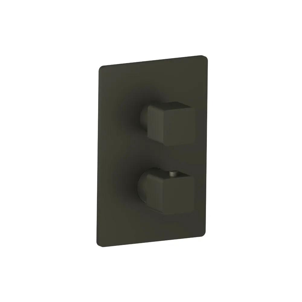 Flusso Serie 196 Trim for Thermostatic Valve by Flusso