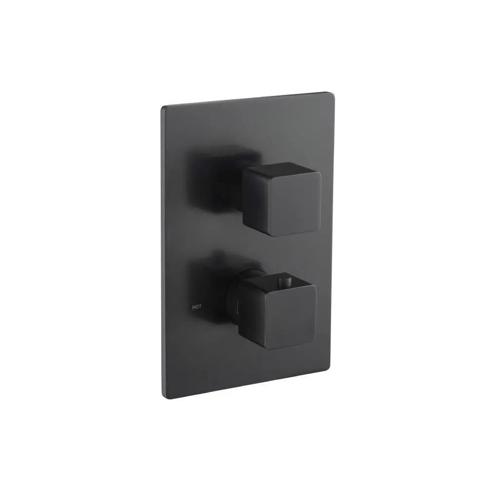Flusso Serie 196 Trim for Thermostatic Valve by Flusso