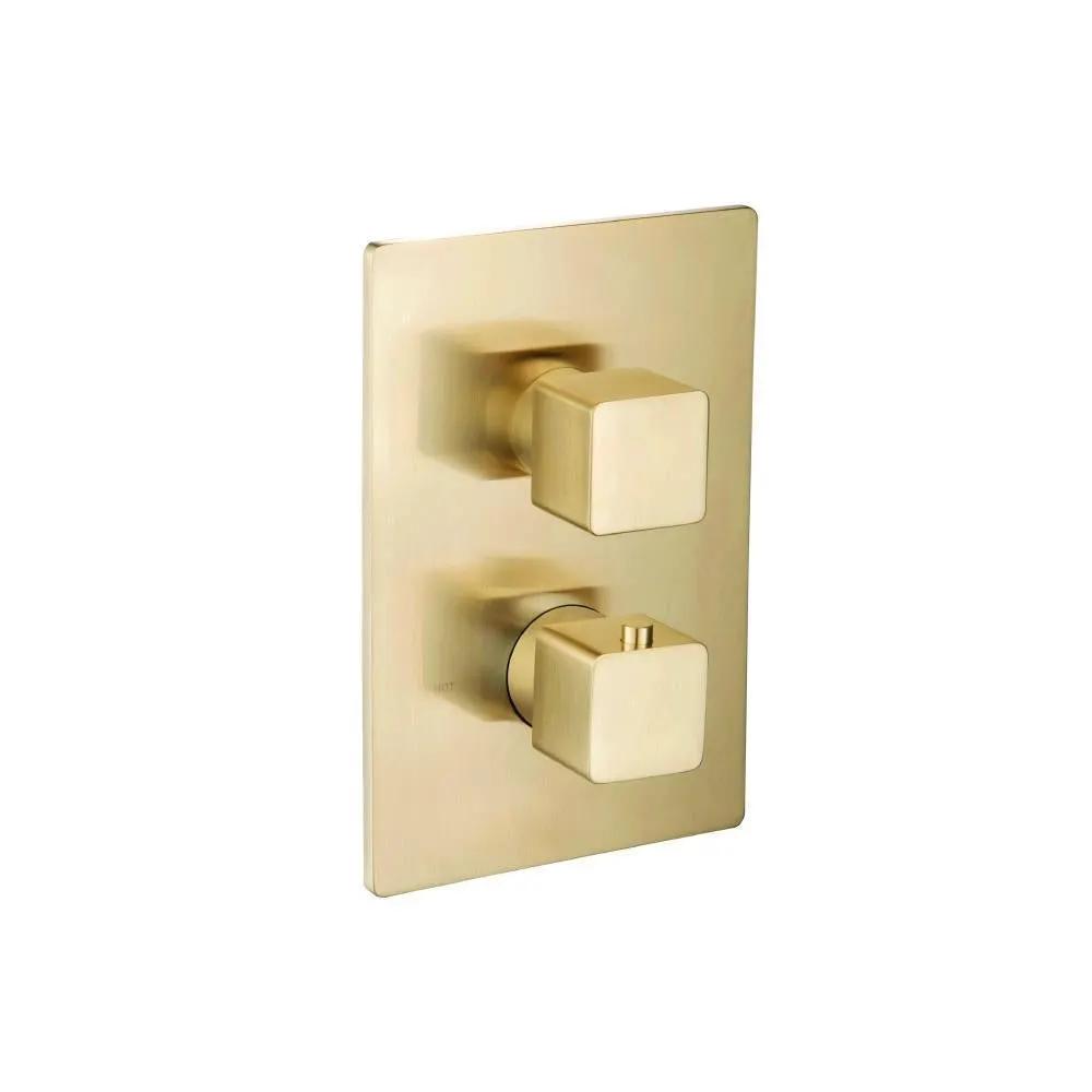 Flusso Serie 196 Trim for Thermostatic Valve by Flusso