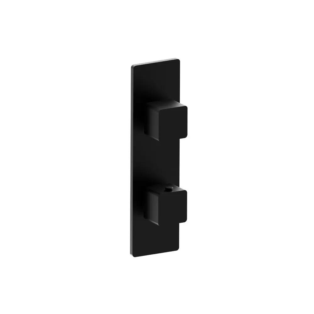 Flusso Serie 196 Trim for Thermostatic Valve by Flusso