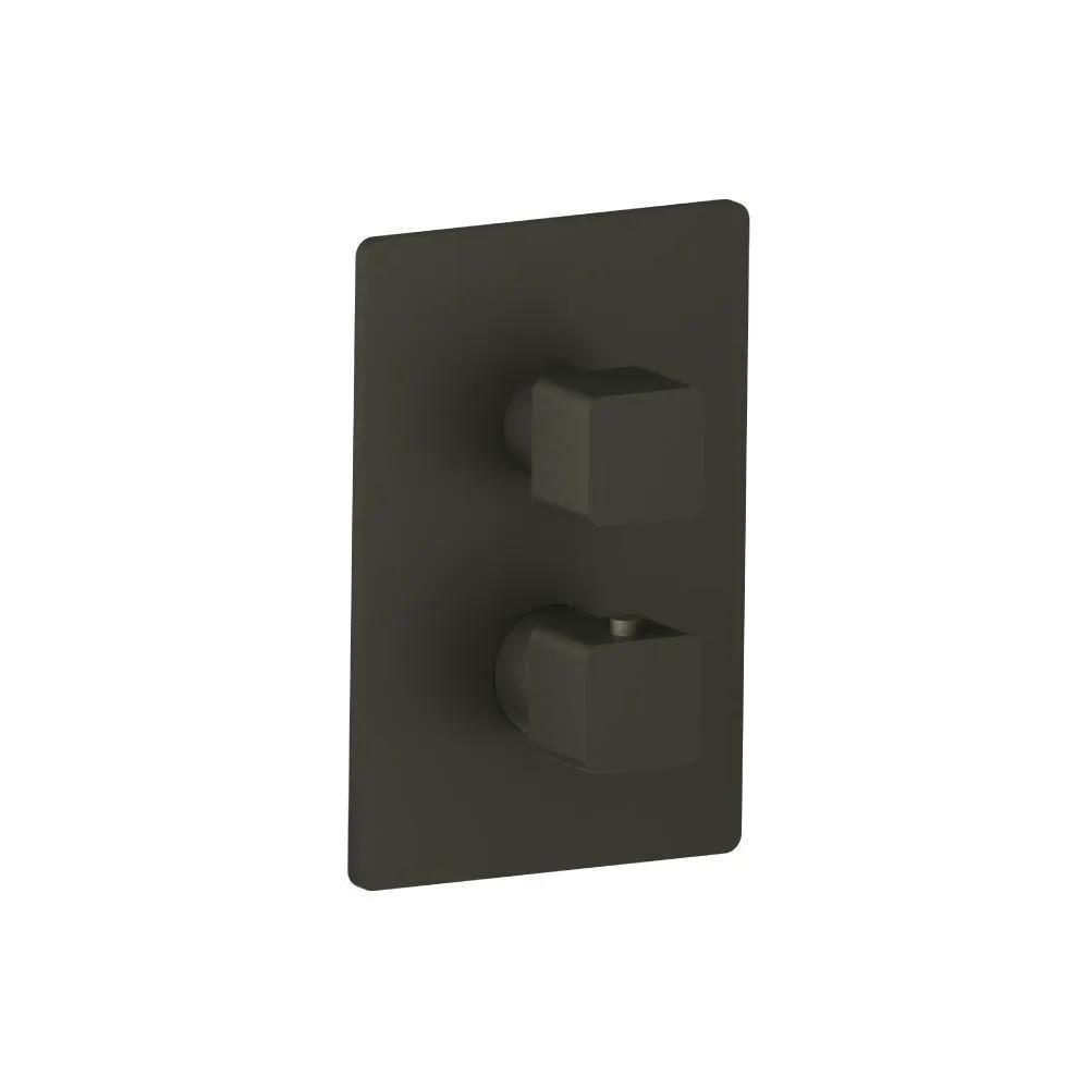 Flusso Serie 196 3/4" Thermostatic Shower Valve and Trim - 1 Output by Flusso