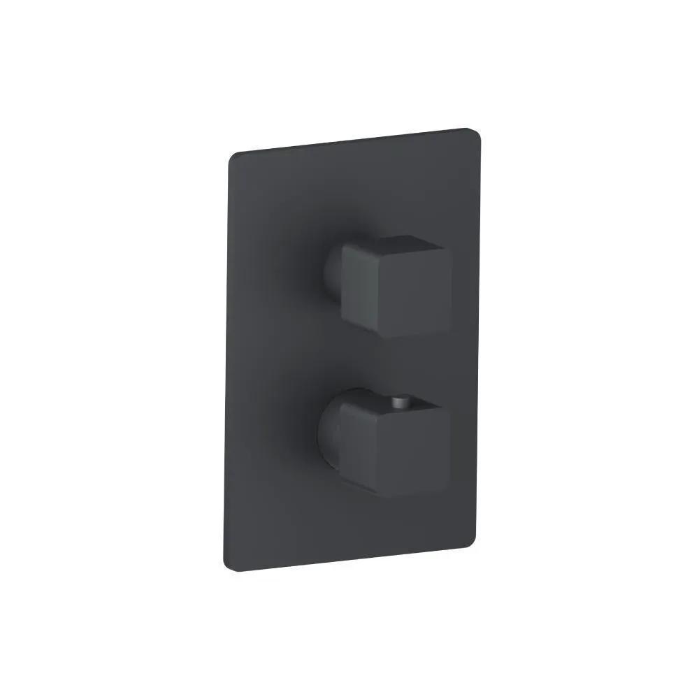 Flusso Serie 196 3/4" Thermostatic Shower Valve and Trim - 1 Output by Flusso