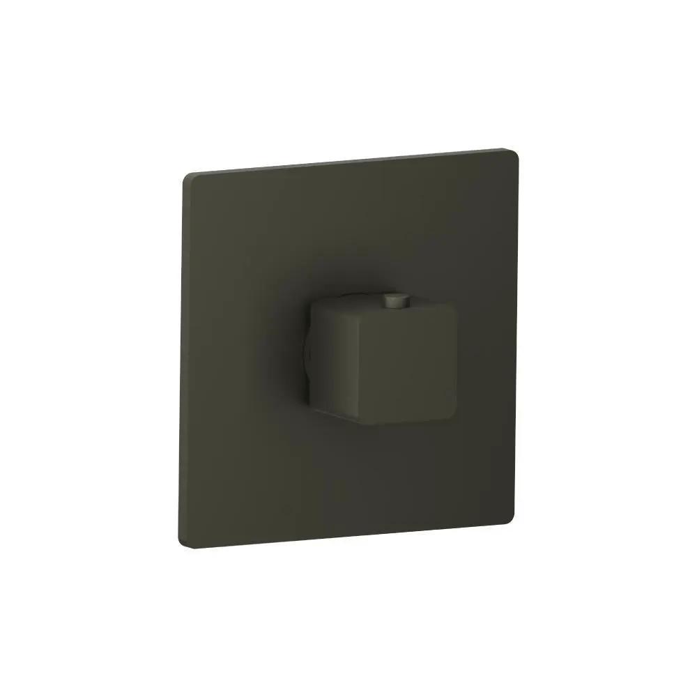 Flusso Serie 196 3/4" Thermostatic Valve with Trim by Flusso