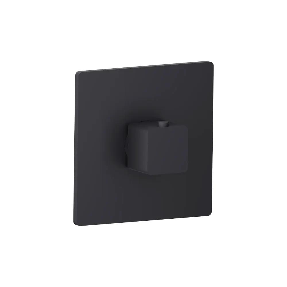 Flusso Serie 196 Trim for 3/4" Thermostatic Valve - Use with TVH.4201 by Flusso