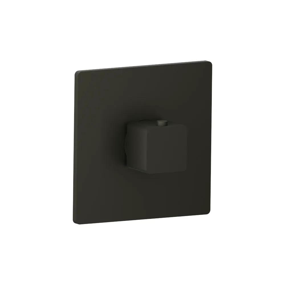Flusso Serie 196 Trim for 3/4" Thermostatic Valve - Use with TVH.4201 by Flusso