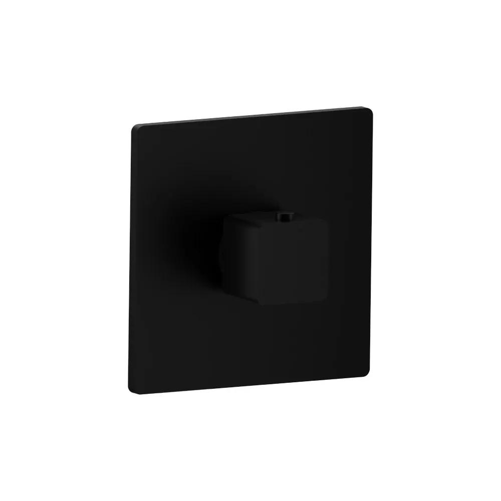 Flusso Serie 196 Trim for 3/4" Thermostatic Valve - Use with TVH.4201 by Flusso