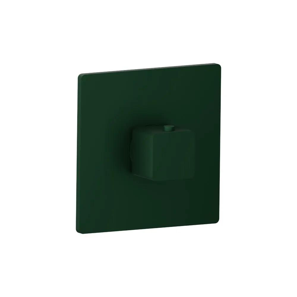 Flusso Serie 196 Trim for 3/4" Thermostatic Valve - Use with TVH.4201 by Flusso