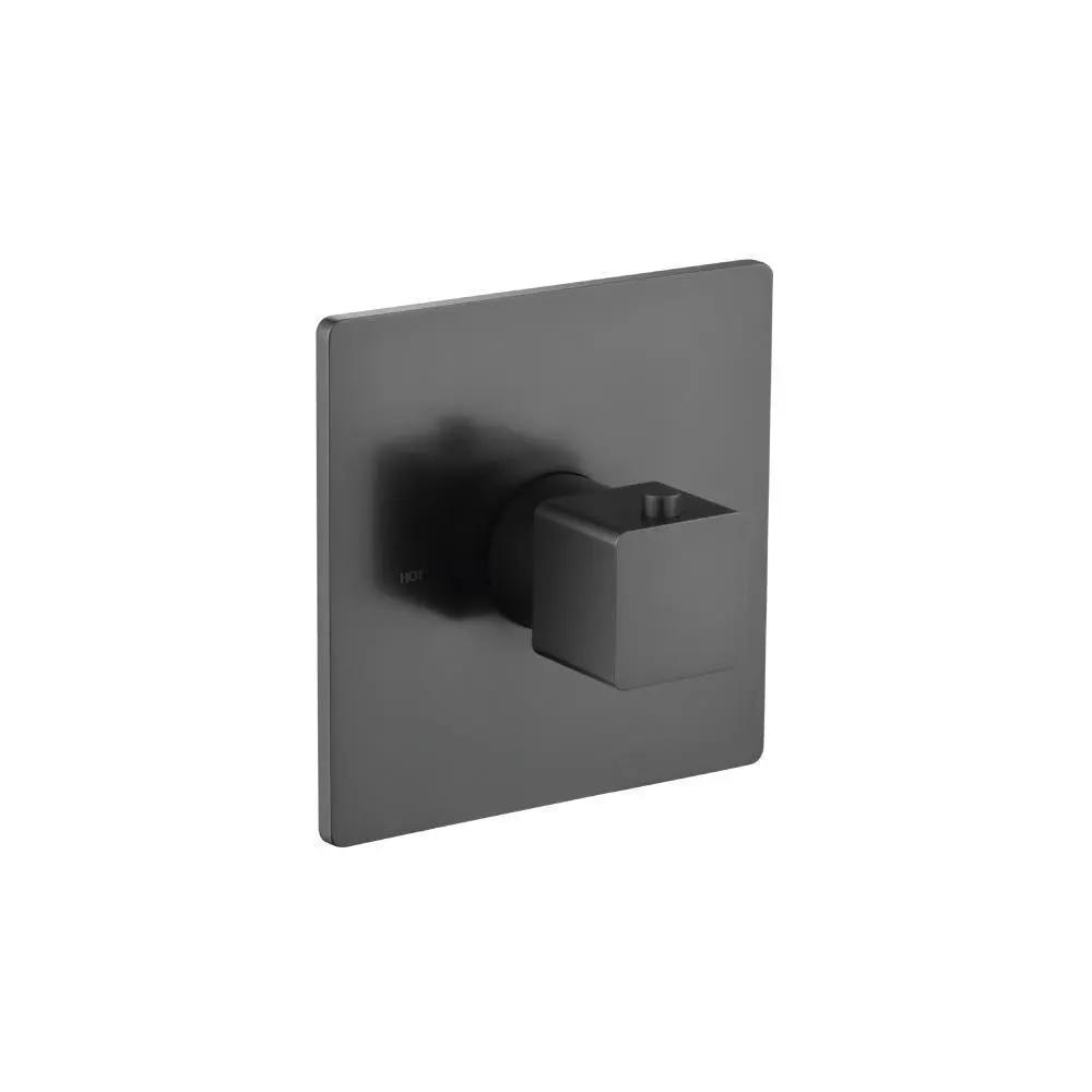 Flusso Serie 196 Trim for 3/4" Thermostatic Valve - Use with TVH.4201 by Flusso