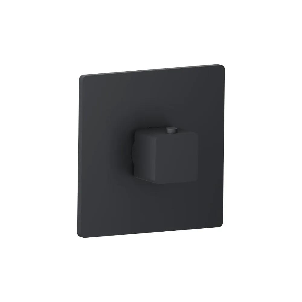 Flusso Serie 196 Trim for 3/4" Thermostatic Valve - Use with TVH.4201 by Flusso
