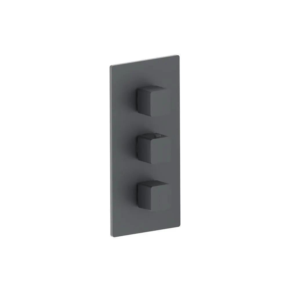 Flusso Serie 196 3/4" Thermostatic Valve and Trim - 2 Outputs by Flusso